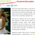 How To Add Facebook Like Button To WordPress