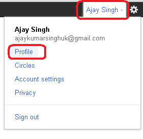Google+ Profile