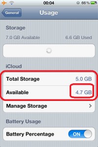 iPhone Storage Usage