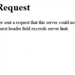 Paypal Error – Bad Request – Your browser sent a request that this server could not understand