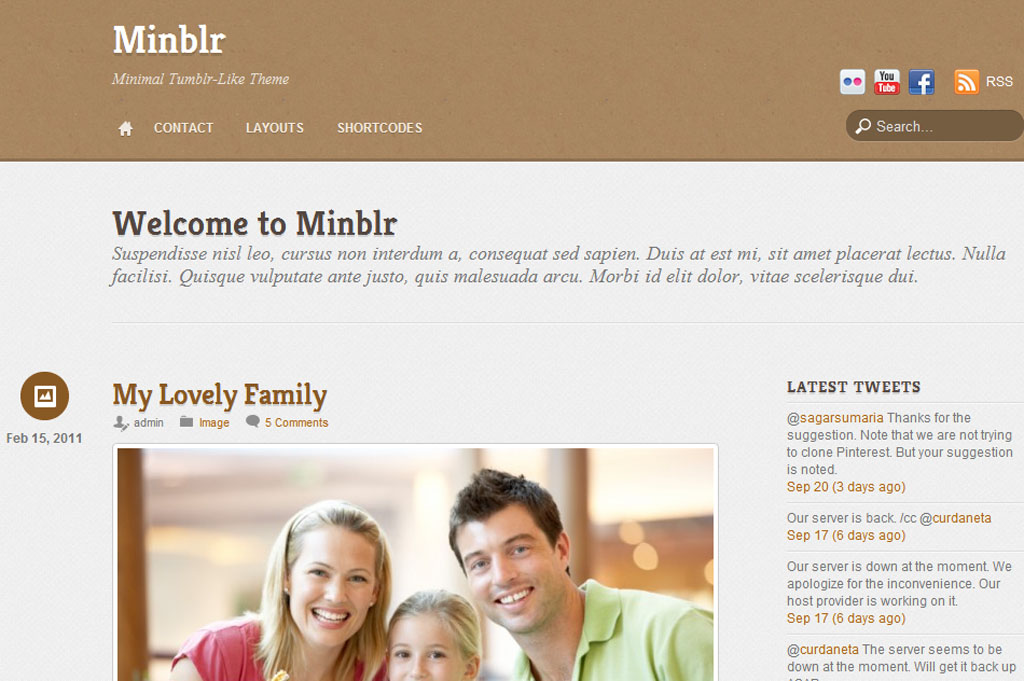 Minblr Responsive WordPress Theme